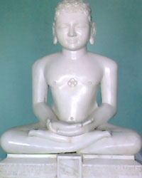 Pushpadanta or Suvidhi Nath